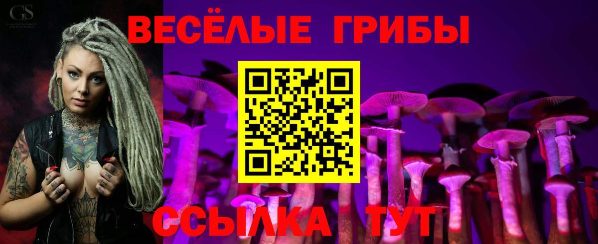Галлюциногенные грибы мухоморы Лесосибирск