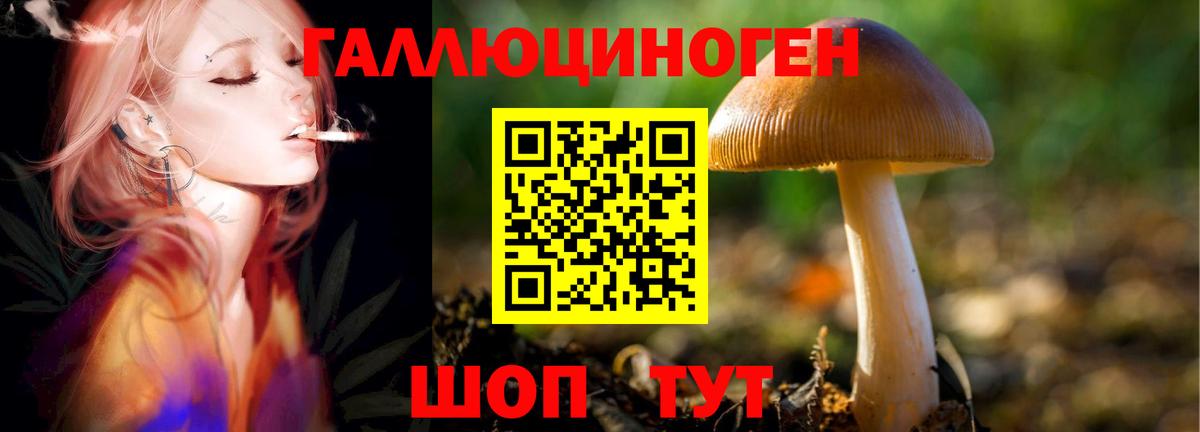 Псилоцибиновые грибы MAGIC MUSHROOMS  Вход с VPN  Псилоцибиновые грибы прущие грибы  Лесосибирск 